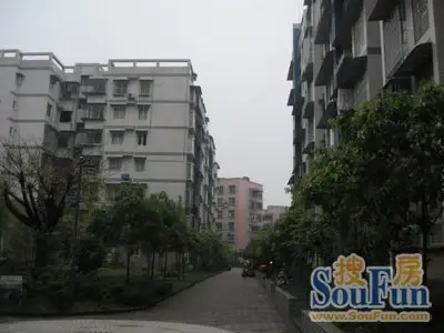 北碚劳动村实景图