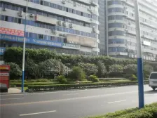 是个正规的两房户型,实际使用空间比较大,轻轨站旁边