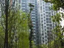 歇台子轻轨旁 户型方正 采光好 招生歇台子 出行方便