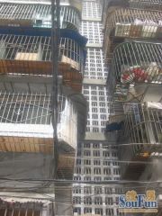 金琴路南二巷2号2室1厅东南