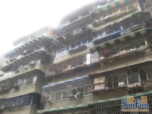 金琴路南二巷2号3室1厅东南