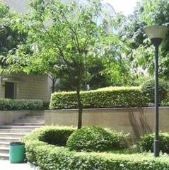 长益商业寓所1室1厅南