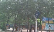 青森小区 1室0厅 东南