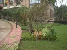 双碑 俊峰香格里拉三房159万