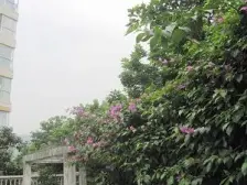 龙溪路 正规三房 采光好 户型方正 简单装修