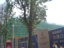 新天泽国际广场 1室1厅 南