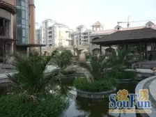 万科物业精装大房业主出国诚意出售