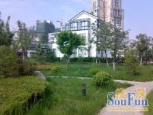 湖滨花园 吴中郭巷近园区 电梯商品房精装三房