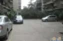 金琴路14号院实景图