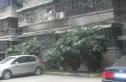 金琴路14号院实景图