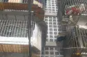 金琴路14号院实景图