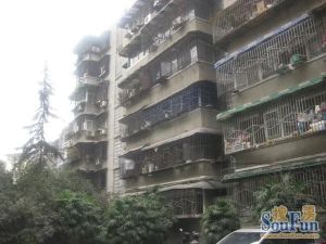 金琴路14号1室2厅东