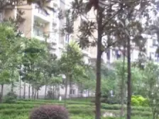 黄桷花园 2室1厅 西南