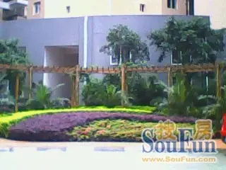 新天地公寓实景图