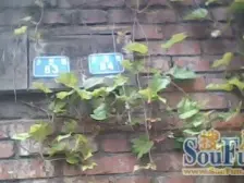 大坪 大坪村二房38万