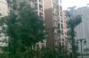锦官城实景图
