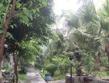 香木林竹园居 3室1厅 东南