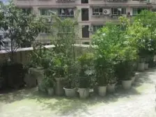 加州新牌坊 牵晴小居五房105万