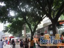 渝中区朝天门 电梯正规大三房 拎包入住