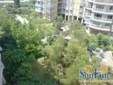 中华路, 楼层好 ,双轻轨,出行方便 采光好