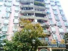 杨家坪 金鼎大厦一房35万