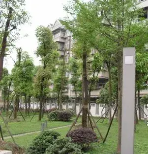 金鼎大厦实景图