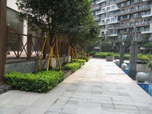 领馆区1号3室1厅东南
