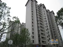 联排别墅,北进门,南花园,南露台,带车位