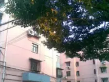 桃浦七村雪松苑 1室1厅 南