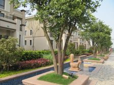 电梯房,大三房,精装,飞机户型。