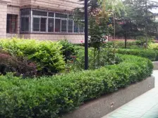 二热 正规一室一厅东西通透 光线好 可按揭