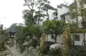 堰上芙蓉印象实景图