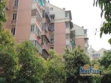 大明路洪家园·春光里·2室·1厅
