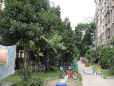 南部新城 大明路 市中医院旁 霞光里 看房方便