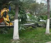 南坪南滨路大3房有屋顶花园业主诚心出售