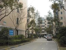 桃浦九村 1室1厅 南