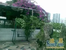 南坪东路 南坪东路二房38万