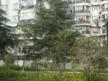 黄浦江畔的优质小区+双轨交汇环境好+喜欢小院的看过来