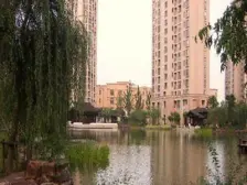 三期11年品质小区,三开间朝南,地铁650米,采光充足