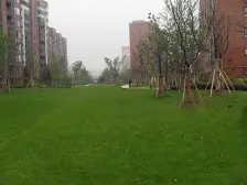 近地铁 中间楼层 随时看房 现场实勘 店长力推