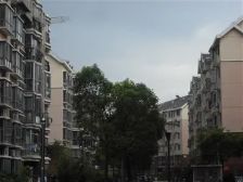 新上南北直通大3房,中间楼层视野好,出行便利