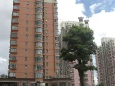 业主急售 冠郡多层 两房朝南全明 欢迎来了解