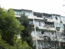 一梯四户,大开间,厨卫朝北,品质小区