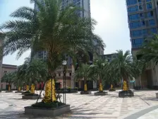 田禾卢浮宫馆、毛坯3房、格局方正、高层视野好