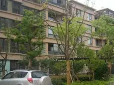 好房推荐 园林式小区 高区景观好 双南户型