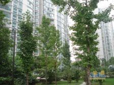 近地铁 通风好,电梯房 2梯3户 新上房源