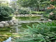 封闭式小区 鸟语花香绿树成荫 配套成熟 适合居家