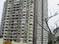 中皇广场 2室1厅 南