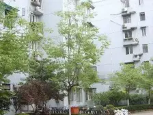 6/8/11 三轨地铁,视野好,采光一级棒,前滩一路之隔