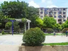 江桥一村 1室1厅 南 北